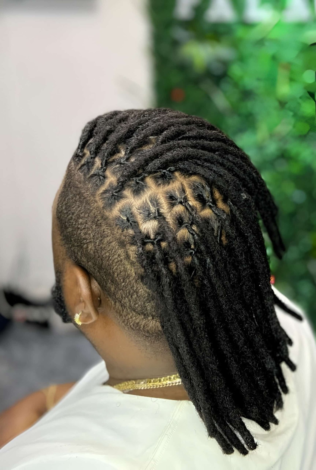 Locs & Dreadlocks hairstyle