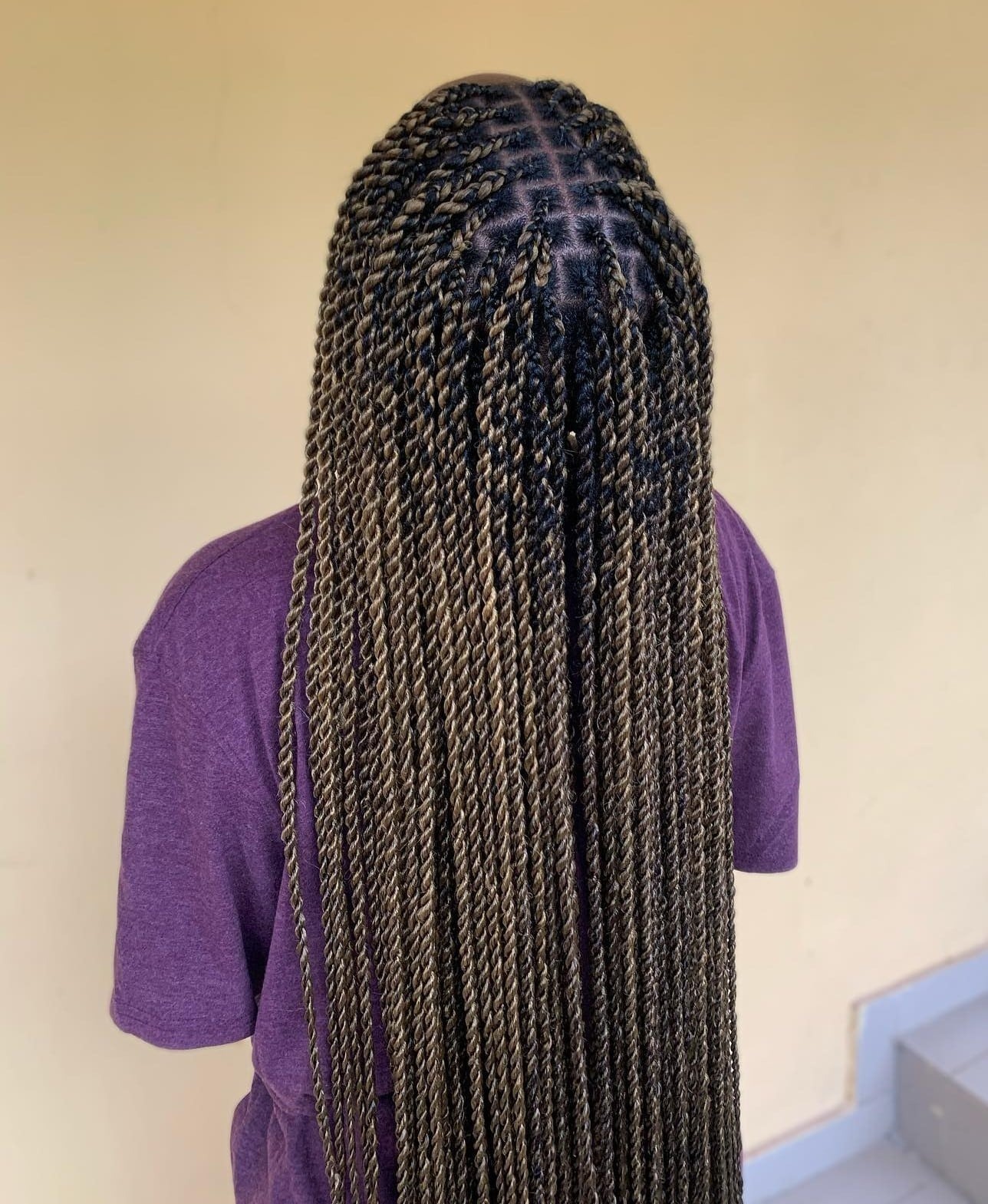 Senegalese Twists hairstyle